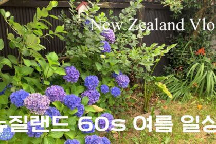 1708342504 maxresdefault infoshare - nz immigration news / 뉴질랜드 이민정보