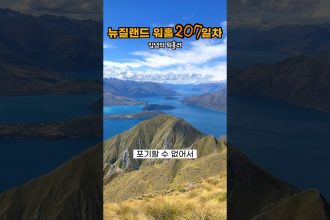 1708536184 maxresdefault infoshare - nz immigration news / 뉴질랜드 이민정보