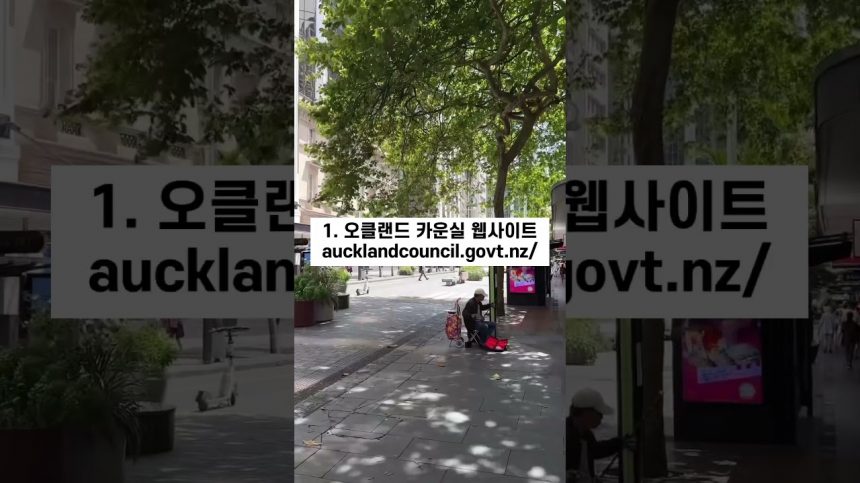 1708590667 maxresdefault infoshare - nz immigration news / 뉴질랜드 이민정보