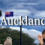 1730926328 maxresdefault infoshare - nz immigration news / 뉴질랜드 이민정보