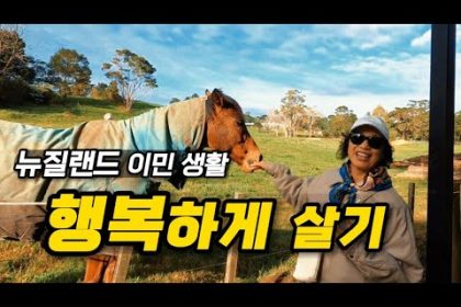 1730960709 hqdefault infoshare - nz immigration news / 뉴질랜드 이민정보