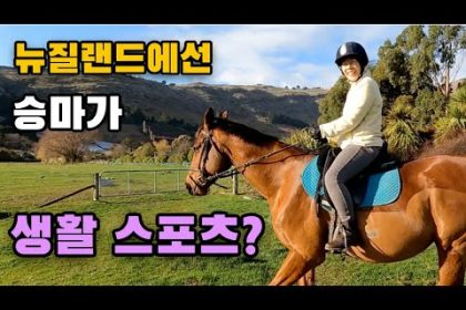 1730961369 hqdefault infoshare - nz immigration news / 뉴질랜드 이민정보