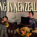 1730968090 maxresdefault infoshare - nz immigration news / 뉴질랜드 이민정보