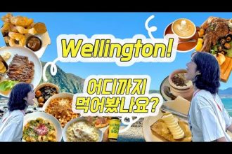 1730970731 hqdefault infoshare - nz immigration news / 뉴질랜드 이민정보