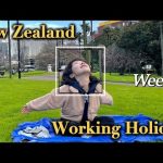 1731051188 hqdefault infoshare - nz immigration news / 뉴질랜드 이민정보