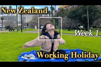 1731051188 hqdefault infoshare - nz immigration news / 뉴질랜드 이민정보