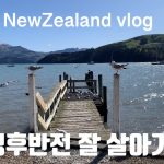 1731070988 maxresdefault infoshare - nz immigration news / 뉴질랜드 이민정보