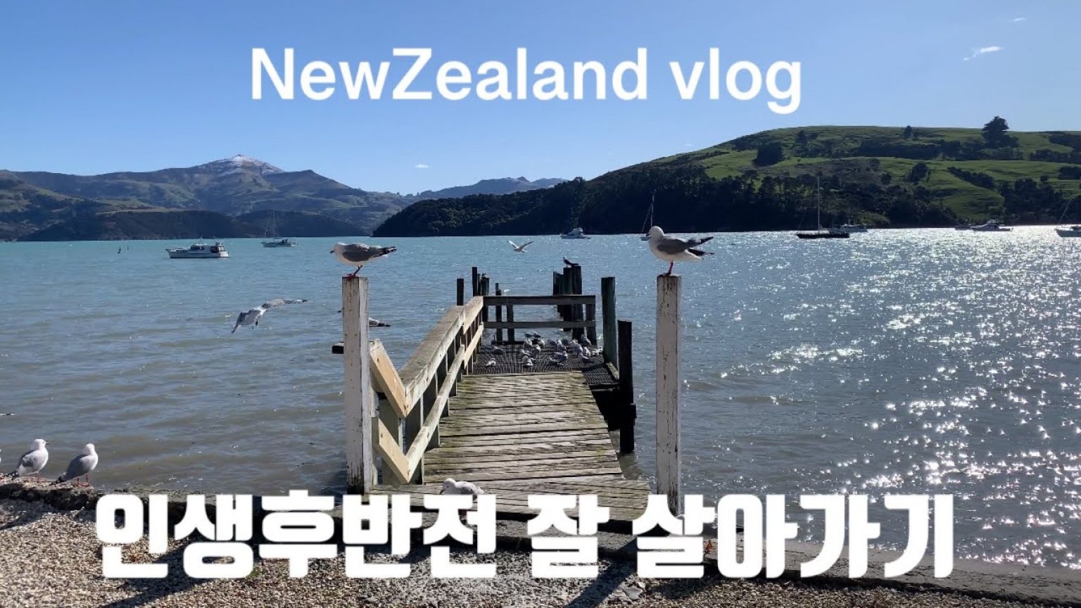 1731070988 maxresdefault infoshare - nz immigration news / 뉴질랜드 이민정보