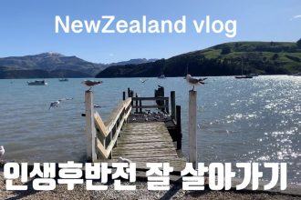 1731070988 maxresdefault infoshare - nz immigration news / 뉴질랜드 이민정보