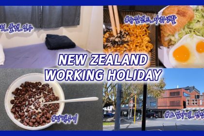 1731072370 maxresdefault infoshare - nz immigration news / 뉴질랜드 이민정보