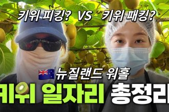 1731083048 maxresdefault infoshare - nz immigration news / 뉴질랜드 이민정보