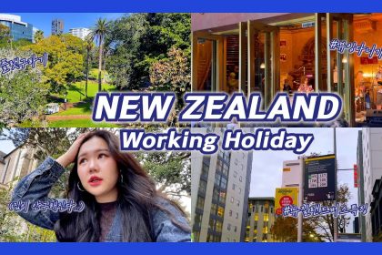 1731085028 maxresdefault infoshare - nz immigration news / 뉴질랜드 이민정보