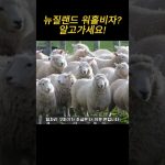 1731085687 maxresdefault infoshare - nz immigration news / 뉴질랜드 이민정보