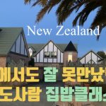 1731114910 maxresdefault infoshare - nz immigration news / 뉴질랜드 이민정보