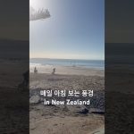 1731151508 maxresdefault infoshare - nz immigration news / 뉴질랜드 이민정보