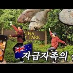 1731159548 hqdefault infoshare - nz immigration news / 뉴질랜드 이민정보