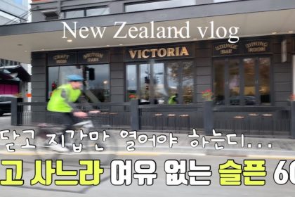 1731164109 maxresdefault infoshare - nz immigration news / 뉴질랜드 이민정보