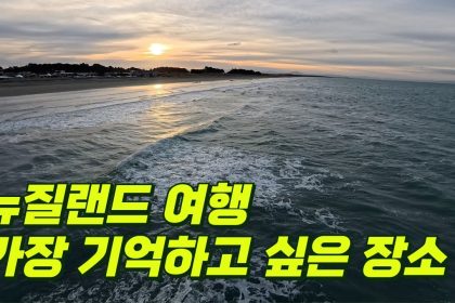 1731176708 maxresdefault infoshare - nz immigration news / 뉴질랜드 이민정보