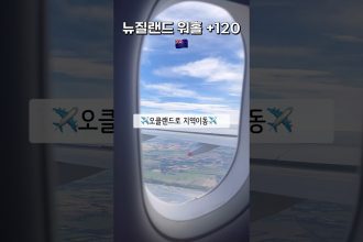 1731251227 maxresdefault infoshare - nz immigration news / 뉴질랜드 이민정보