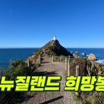 1731271808 maxresdefault infoshare - nz immigration news / 뉴질랜드 이민정보