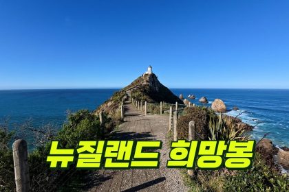 1731271808 maxresdefault infoshare - nz immigration news / 뉴질랜드 이민정보