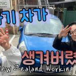 1731406869 maxresdefault infoshare - nz immigration news / 뉴질랜드 이민정보