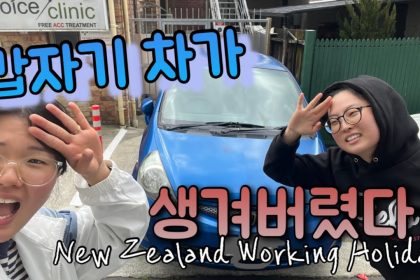 1731406869 maxresdefault infoshare - nz immigration news / 뉴질랜드 이민정보