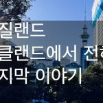 1734084369 maxresdefault infoshare - nz immigration news / 뉴질랜드 이민정보