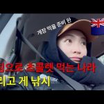 1735293129 hqdefault infoshare - nz immigration news / 뉴질랜드 이민정보