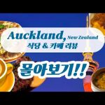 1740218193 hqdefault infoshare - nz immigration news / 뉴질랜드 이민정보