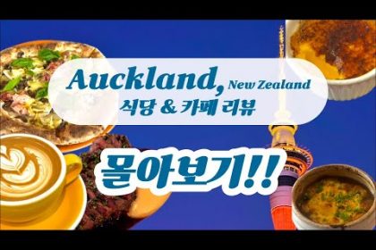 1740218193 hqdefault infoshare - nz immigration news / 뉴질랜드 이민정보