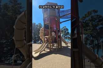 1741261748 maxresdefault infoshare - nz immigration news / 뉴질랜드 이민정보