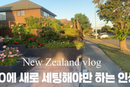 1741673530 maxresdefault infoshare - nz immigration news / 뉴질랜드 이민정보