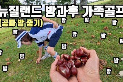 1742473931 maxresdefault infoshare - nz immigration news / 뉴질랜드 이민정보