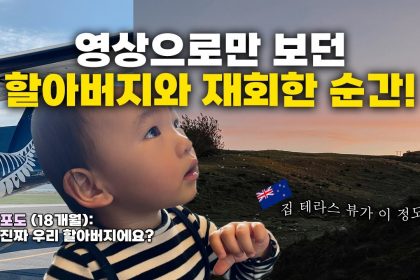 1742723172 maxresdefault infoshare - nz immigration news / 뉴질랜드 이민정보