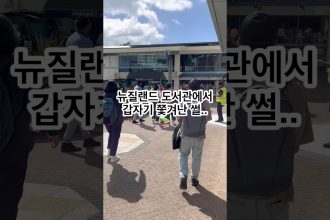 1744182309 maxresdefault infoshare - nz immigration news / 뉴질랜드 이민정보
