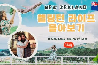 1744270447 maxresdefault infoshare - nz immigration news / 뉴질랜드 이민정보