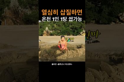 1744532887 maxresdefault infoshare - nz immigration news / 뉴질랜드 이민정보