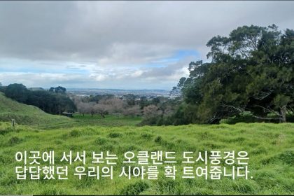 1744616526 maxresdefault infoshare - nz immigration news / 뉴질랜드 이민정보