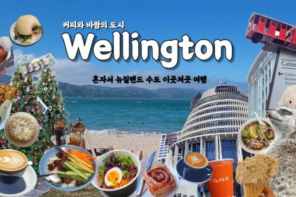 1744627929 maxresdefault infoshare - nz immigration news / 뉴질랜드 이민정보
