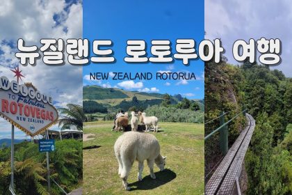 1744628587 maxresdefault infoshare - nz immigration news / 뉴질랜드 이민정보