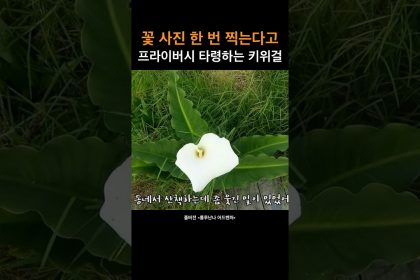 1744632547 maxresdefault infoshare - nz immigration news / 뉴질랜드 이민정보