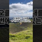 1744792927 maxresdefault infoshare - nz immigration news / 뉴질랜드 이민정보