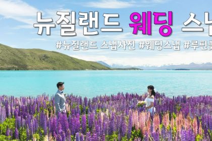 1744961769 maxresdefault infoshare - nz immigration news / 뉴질랜드 이민정보