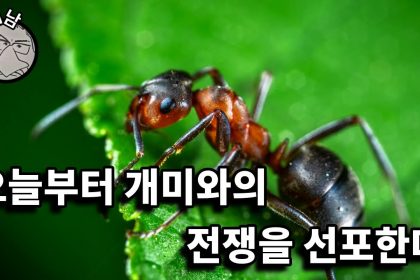 1745046013 maxresdefault infoshare - nz immigration news / 뉴질랜드 이민정보