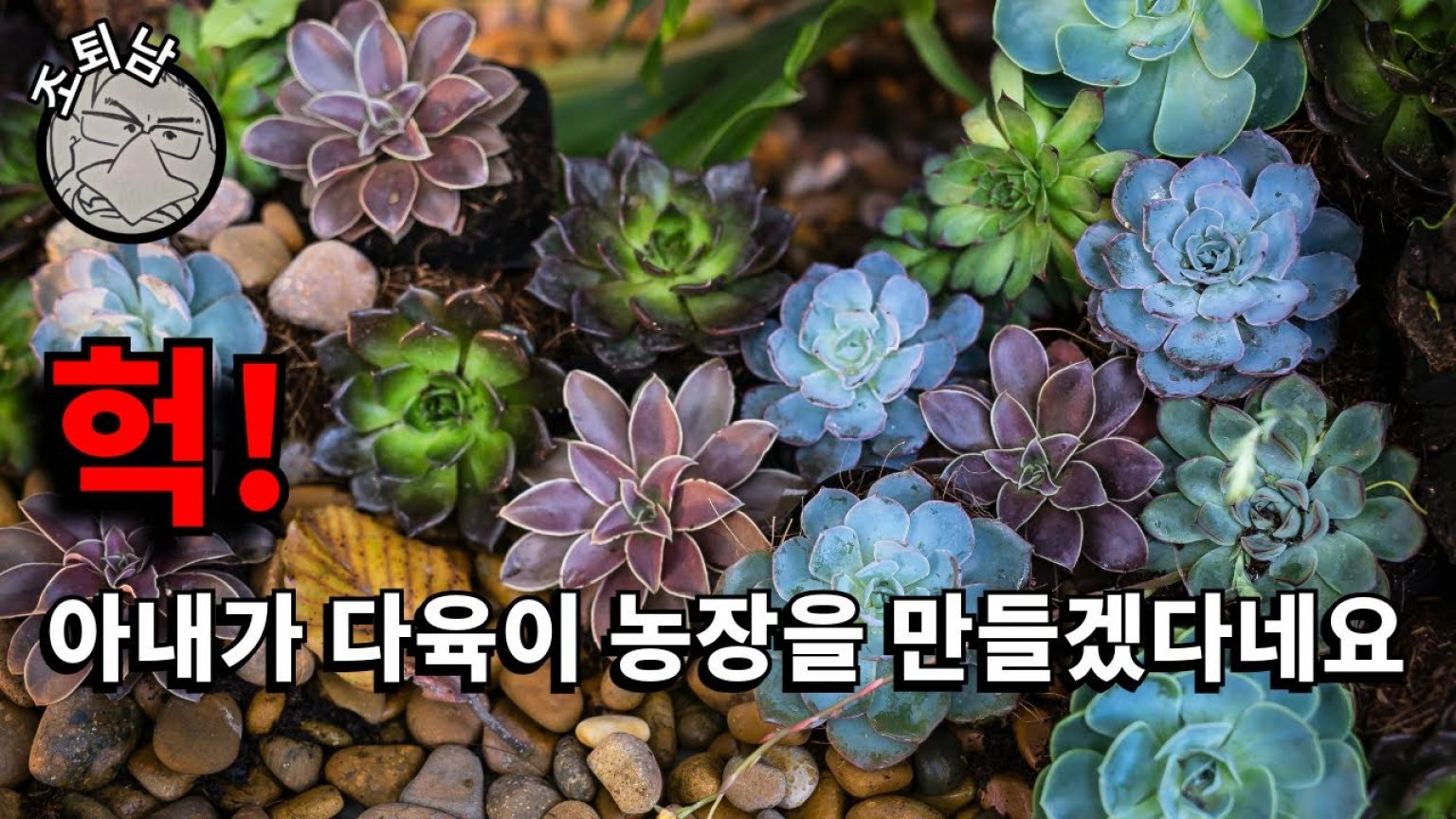 1745049306 maxresdefault infoshare - nz immigration news / 뉴질랜드 이민정보