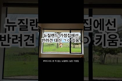 1745065267 maxresdefault infoshare - nz immigration news / 뉴질랜드 이민정보