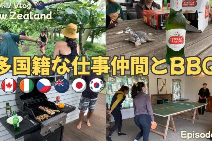 1745066647 maxresdefault infoshare - nz immigration news / 뉴질랜드 이민정보