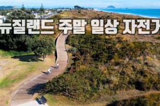 1745138887 maxresdefault infoshare - nz immigration news / 뉴질랜드 이민정보