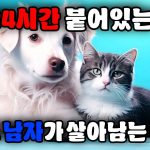 1745325910 maxresdefault infoshare - nz immigration news / 뉴질랜드 이민정보